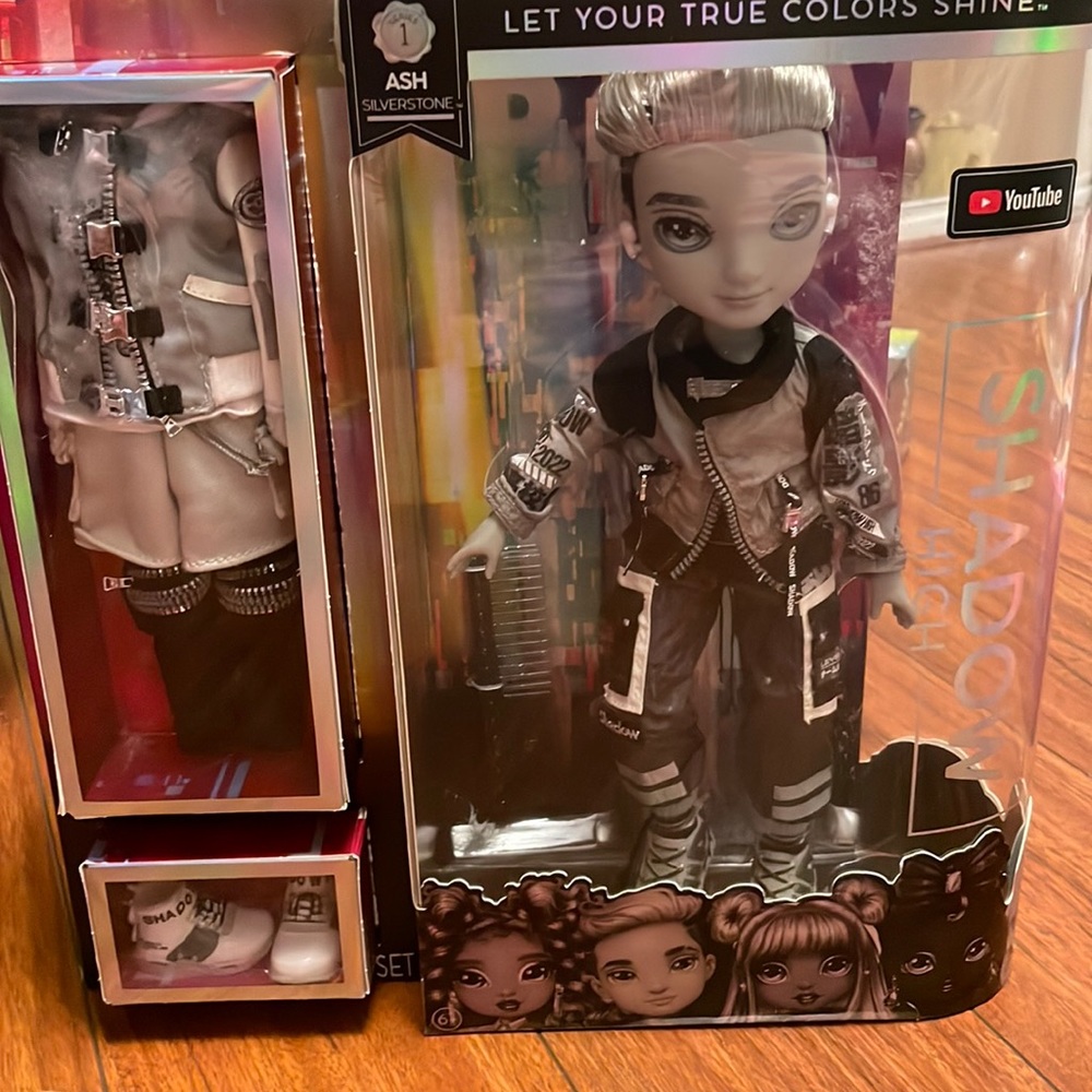 Rainbow High Shadow Series 1 Ash Silverstone-Greyscale
Boy Fashion Doll.